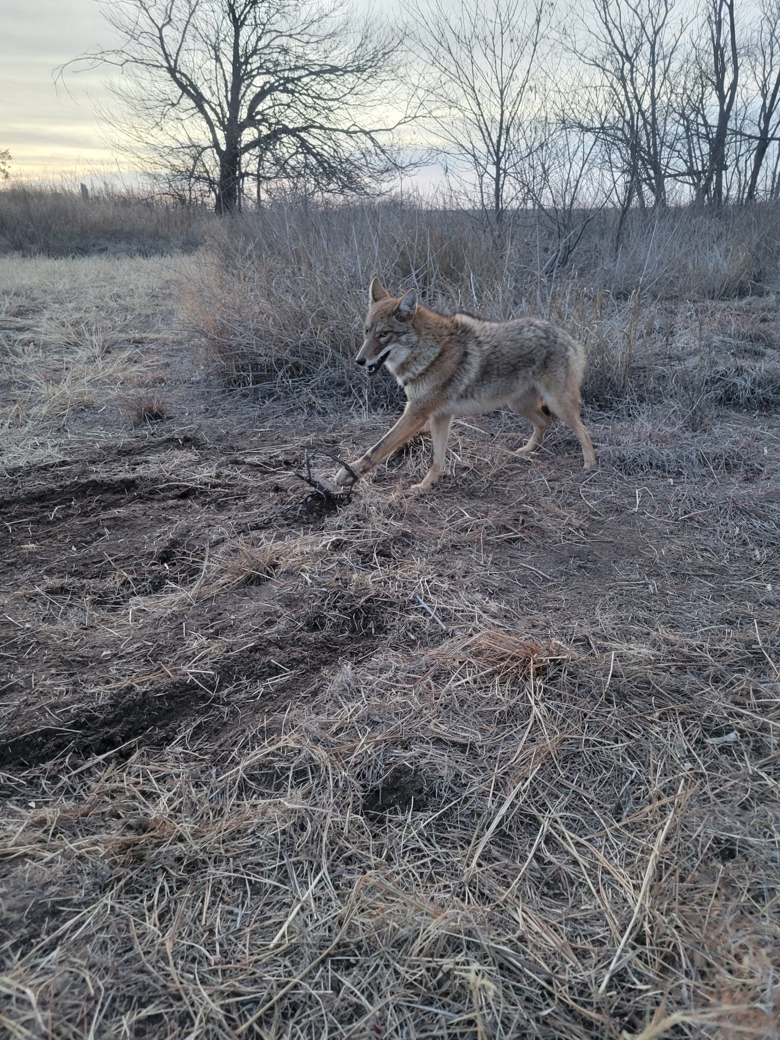 20221227_172945.jpg