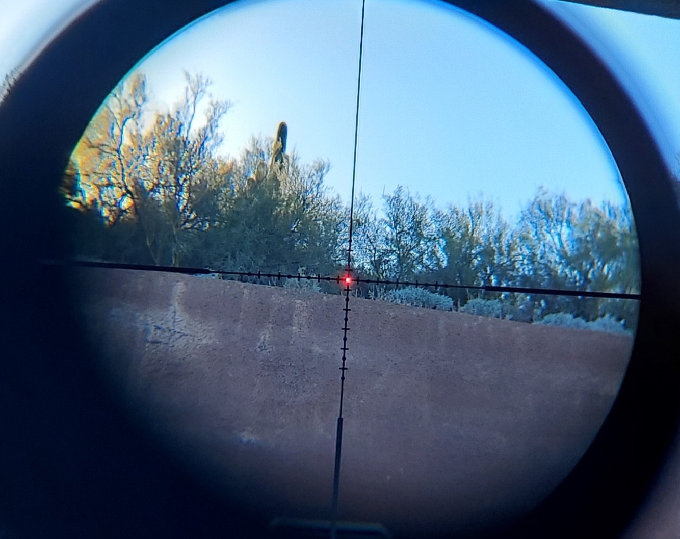 20230121_160428.jpg