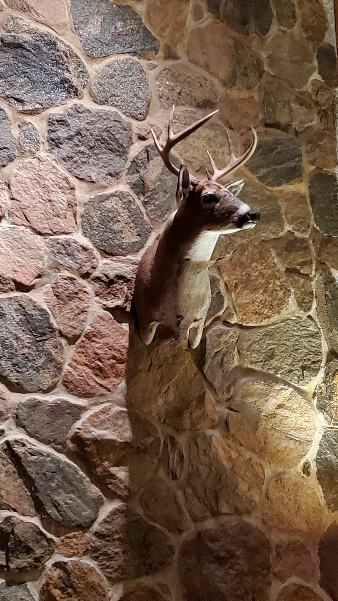 20230130_190003.jpg