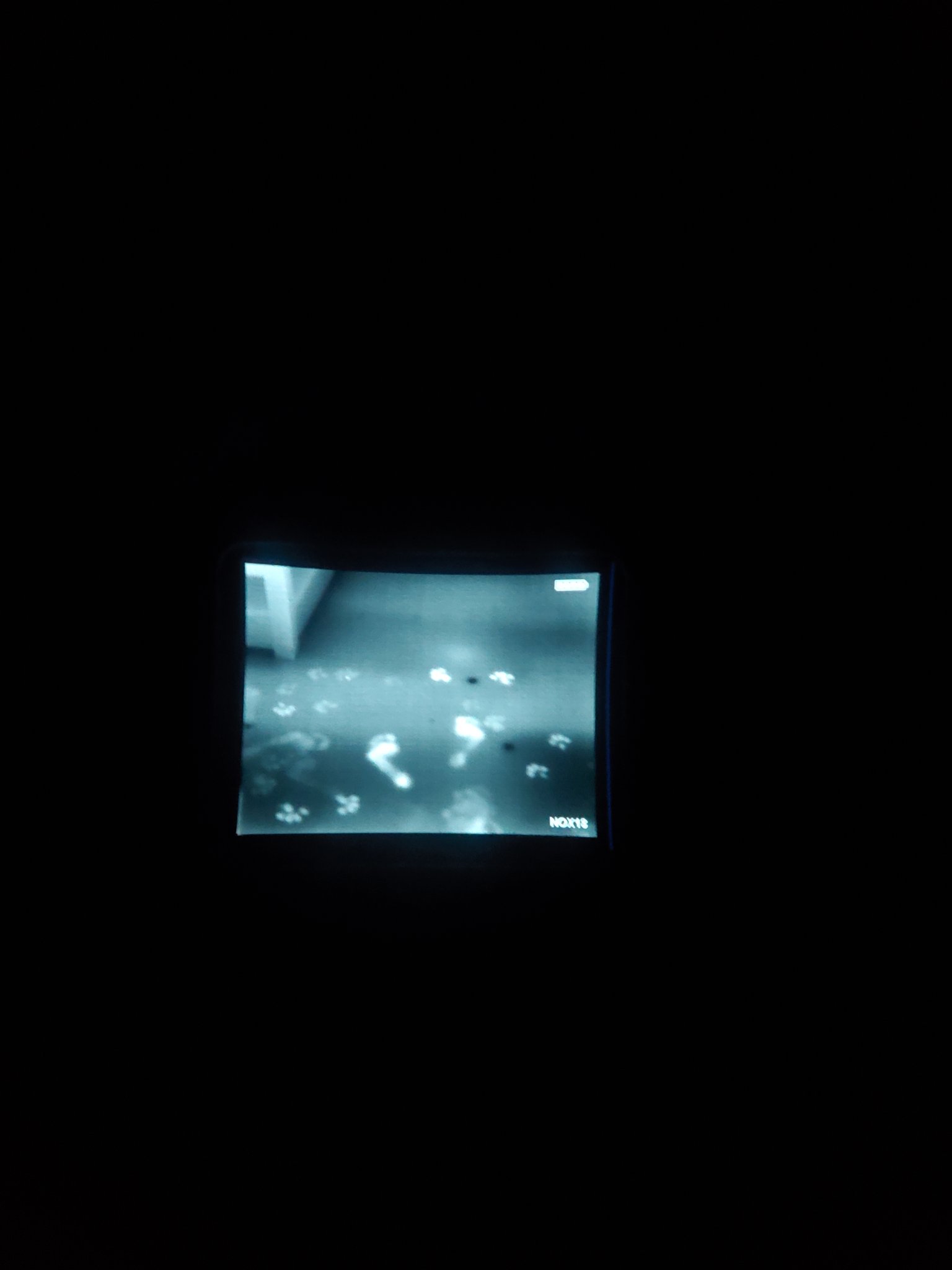 20230301_094209.jpg