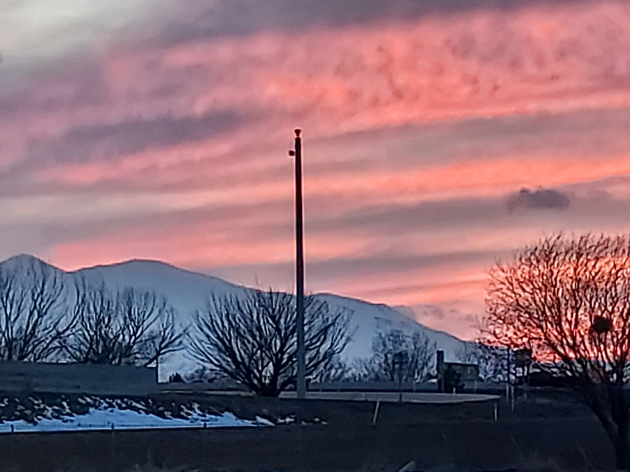 20230307_183103.jpg