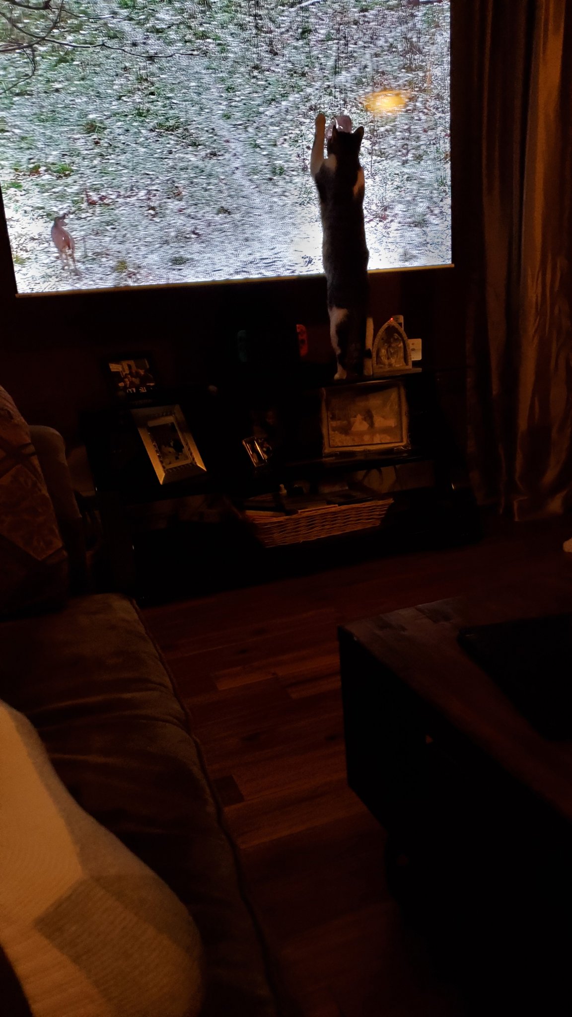 20230309_190859.jpg