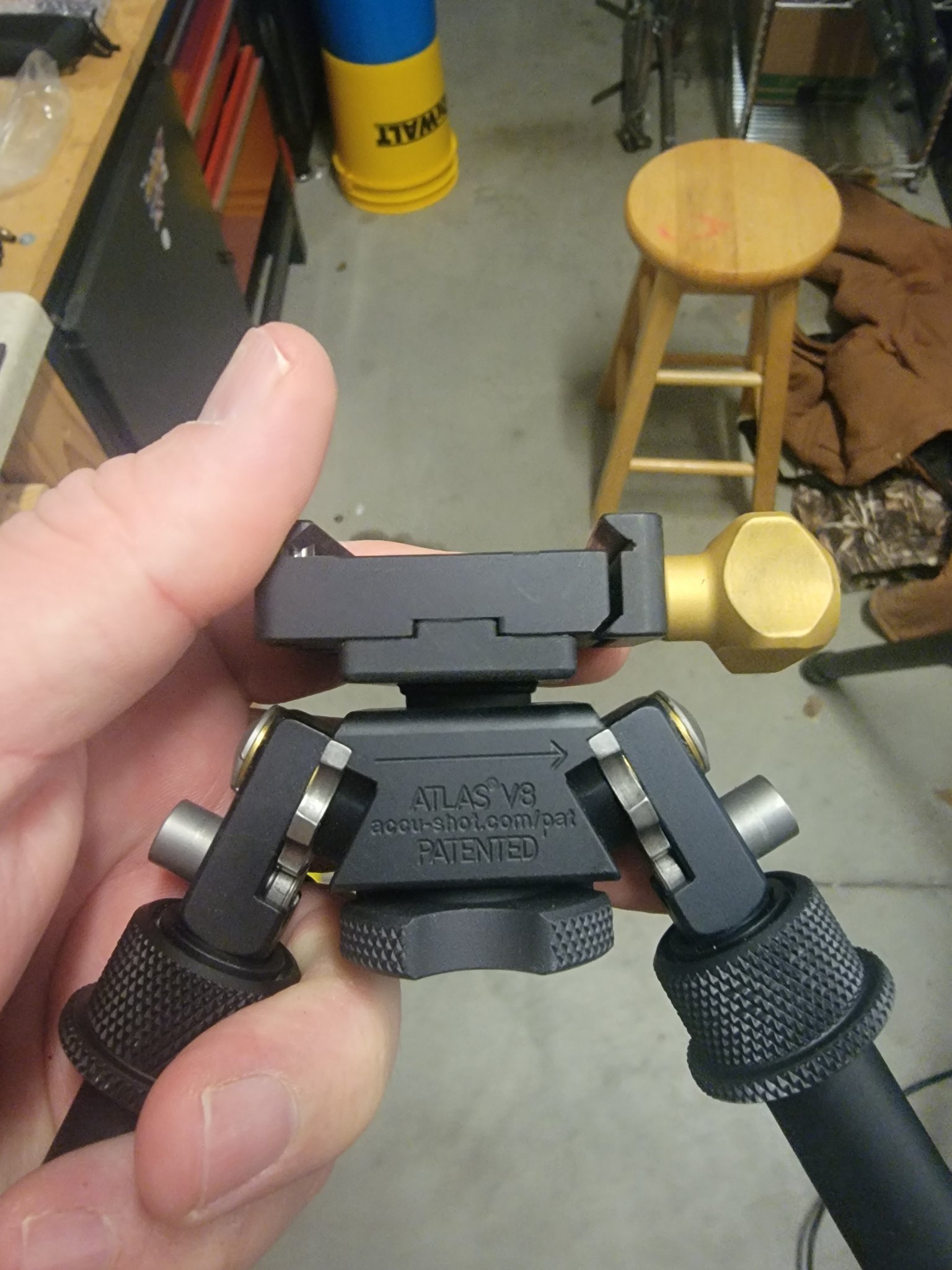 20230419_055939.jpg