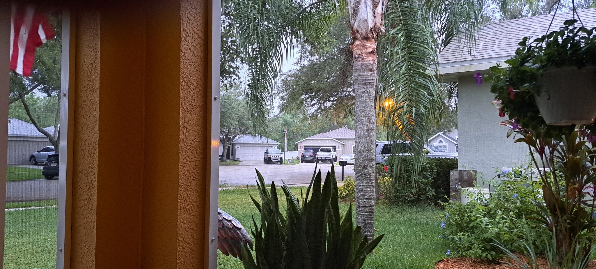 20230429_194146.jpg