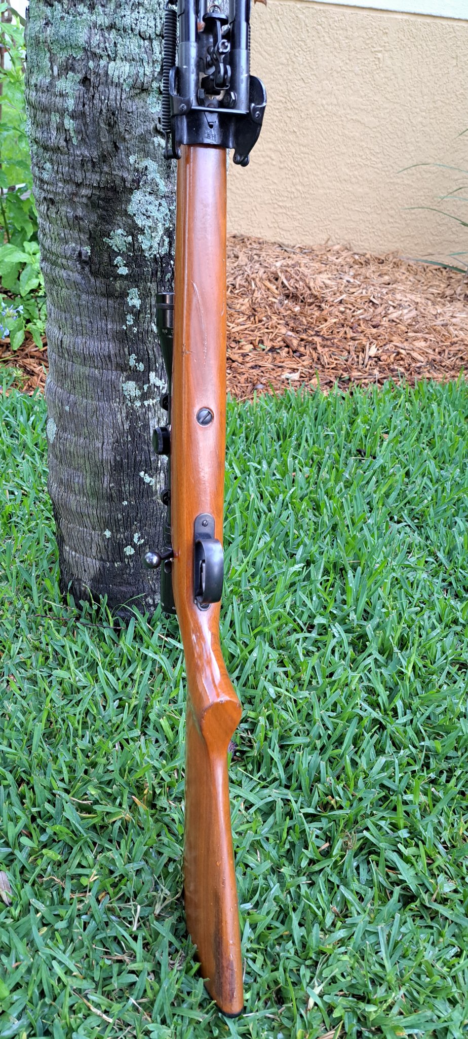 20230512_074559.jpg