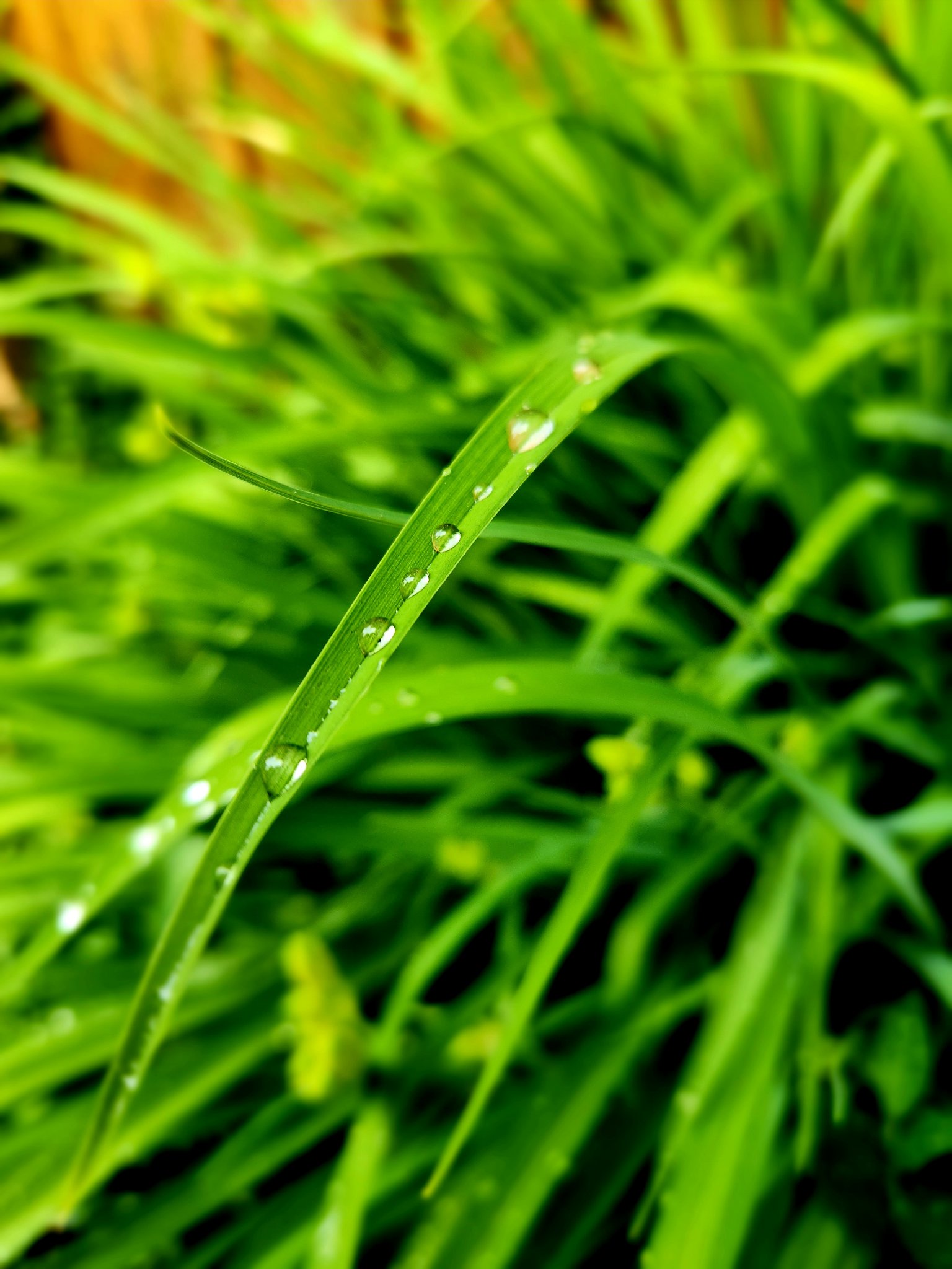 20230606_085053.jpg