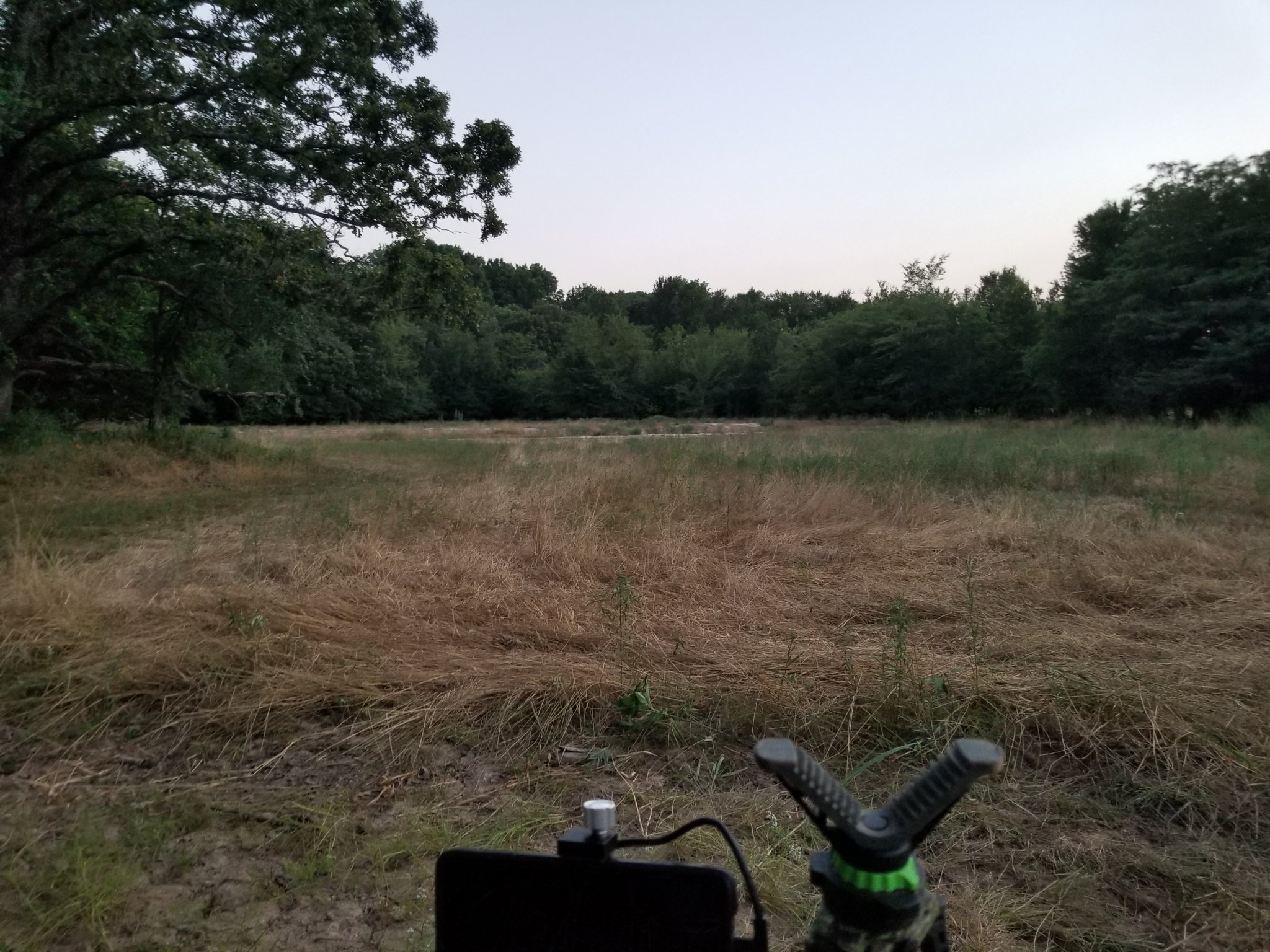 20230624_204649.jpg