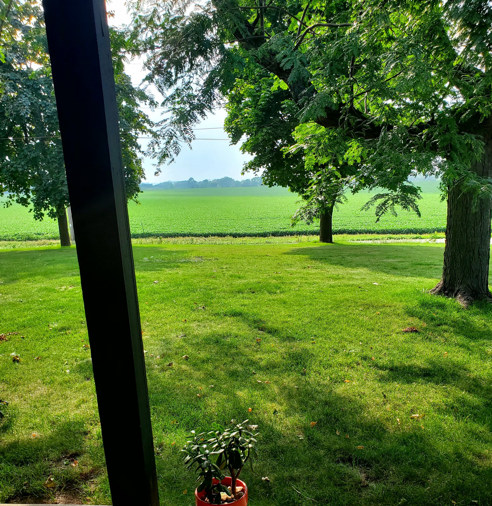 20230805_164648.jpg