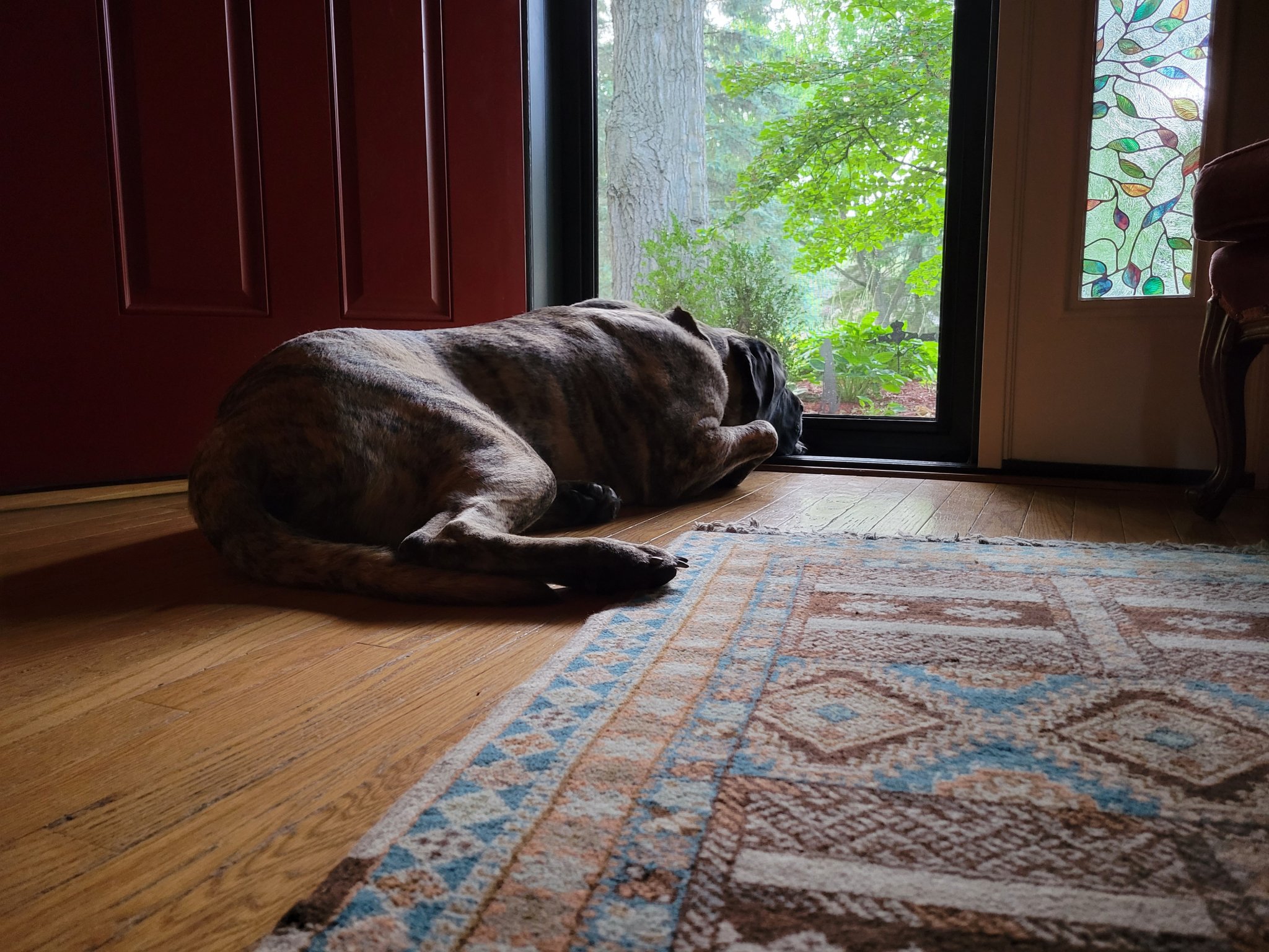 20230805_193829.jpg
