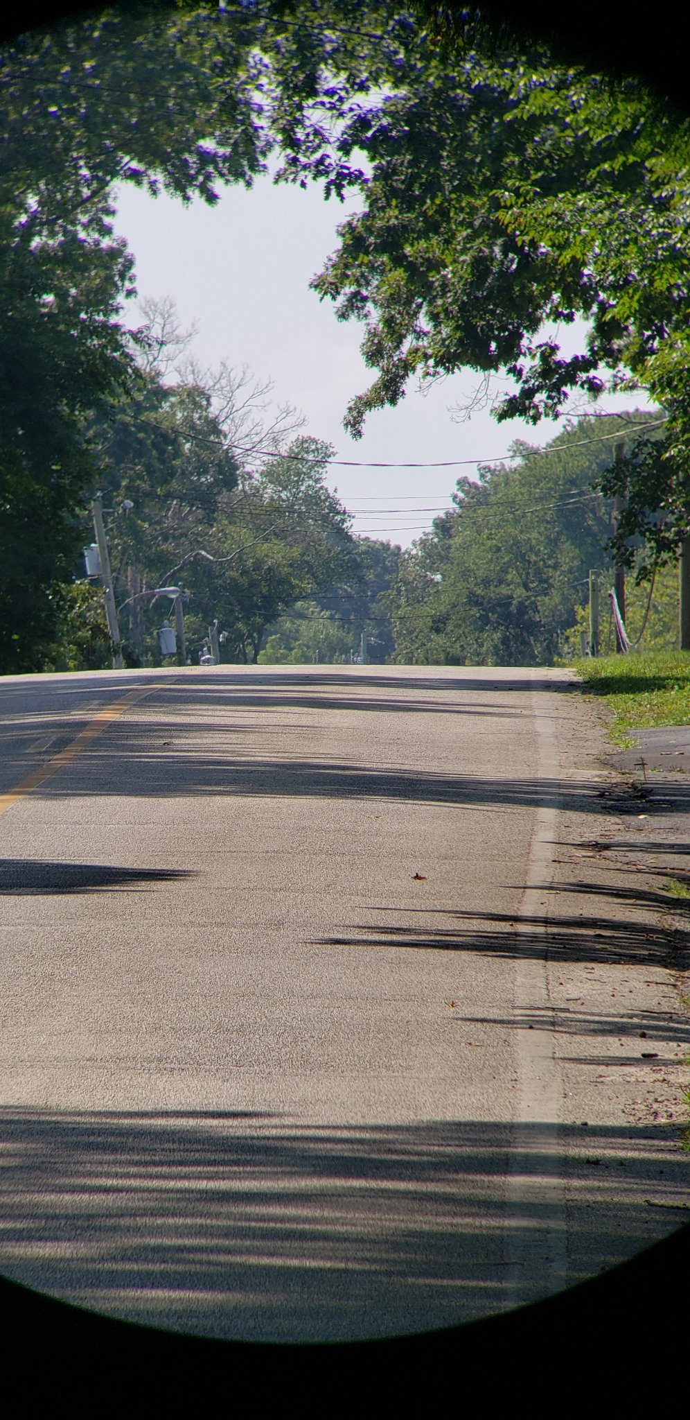 20230806_105157.jpg