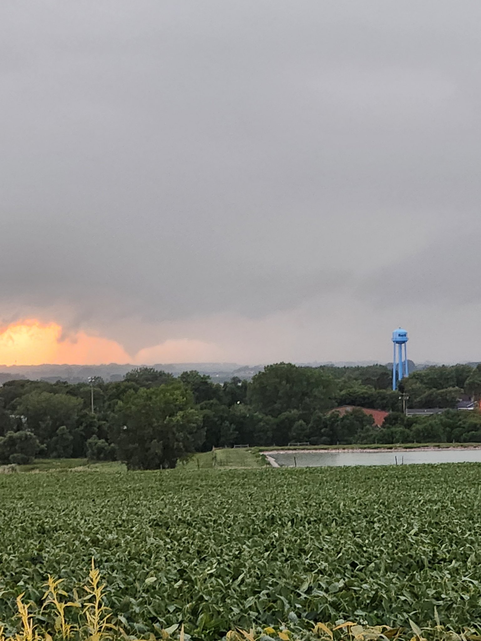 20230810_193157.jpg
