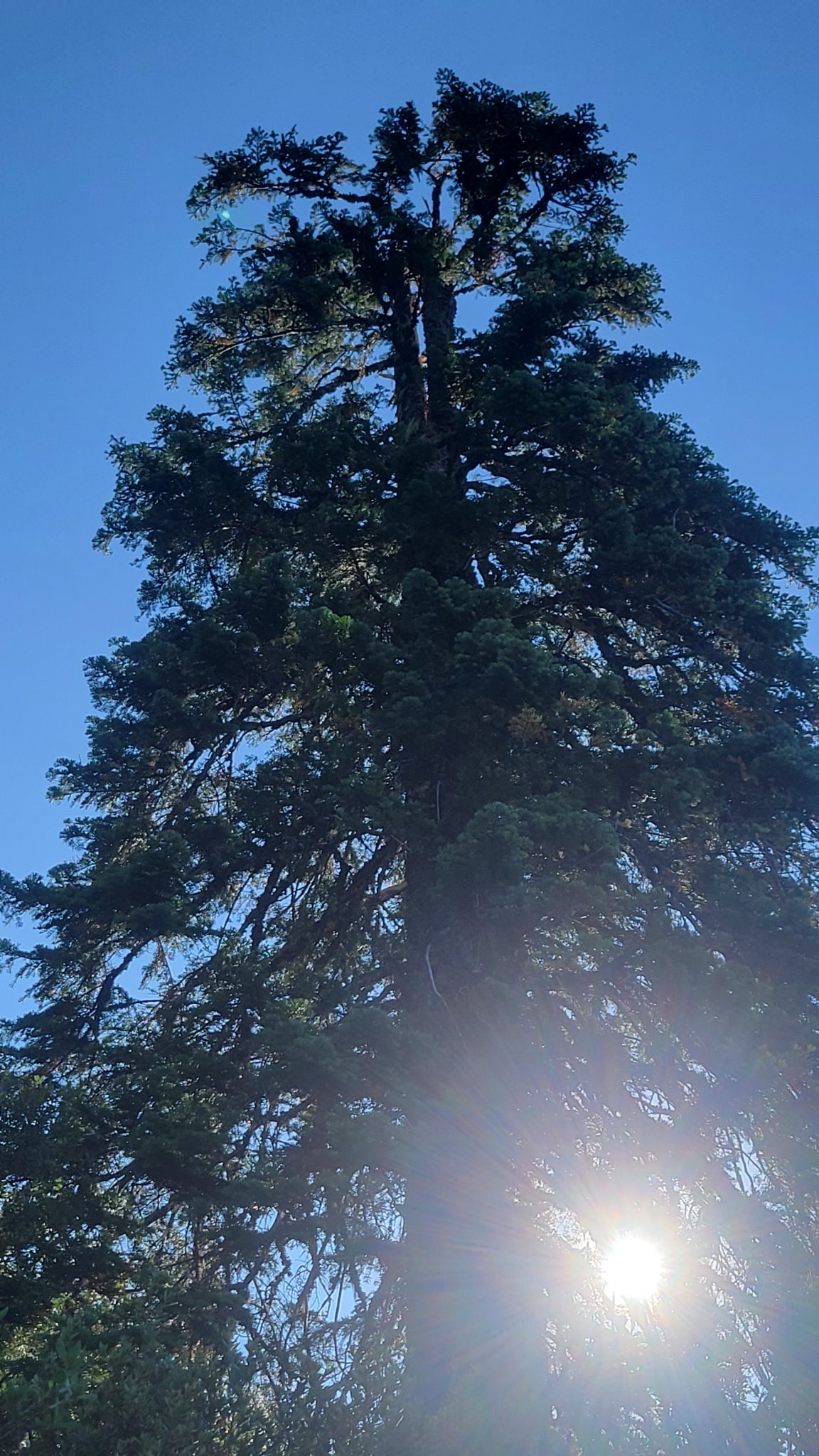 20230917_105326.jpg