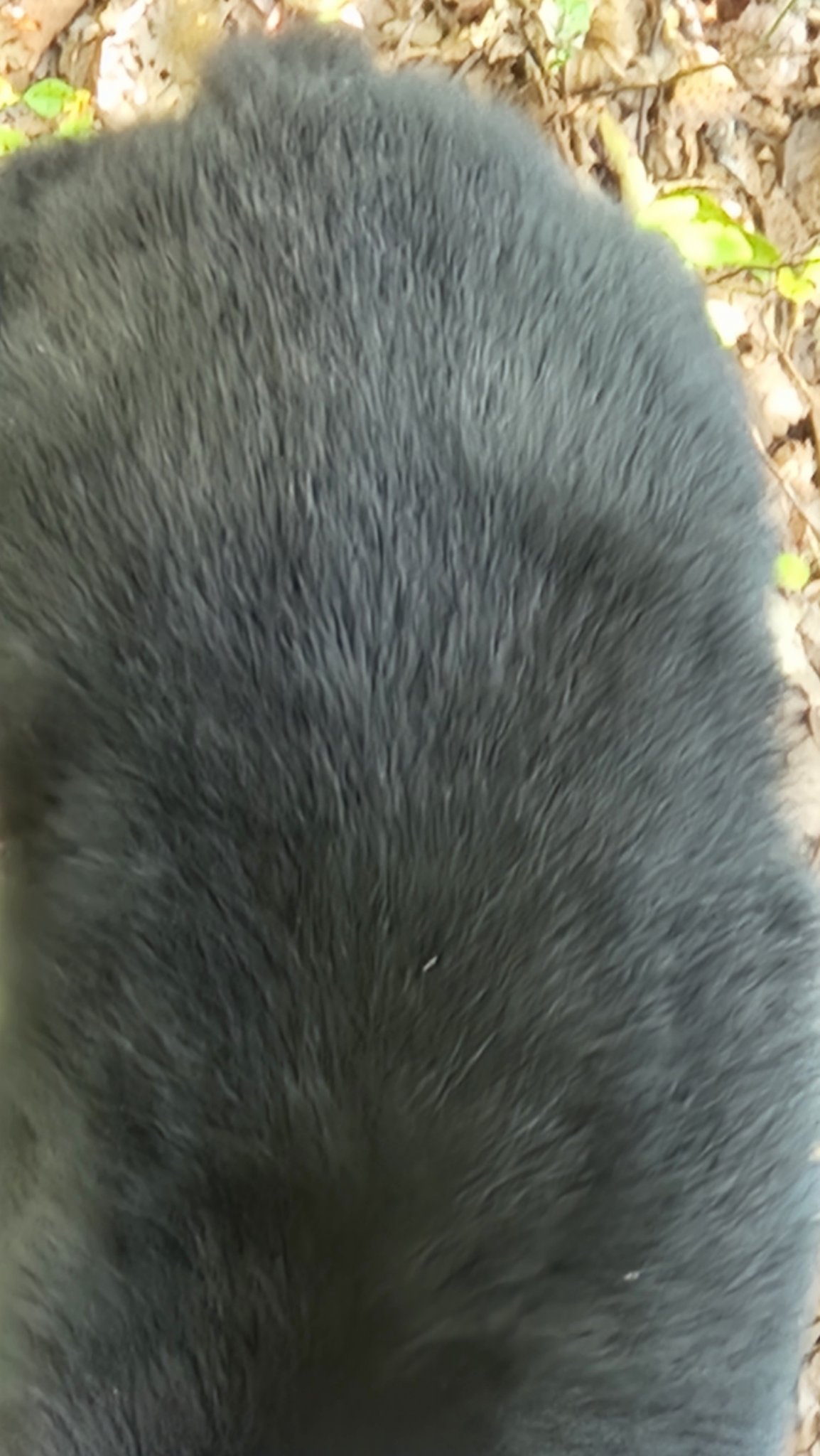 20230930_173845.jpg