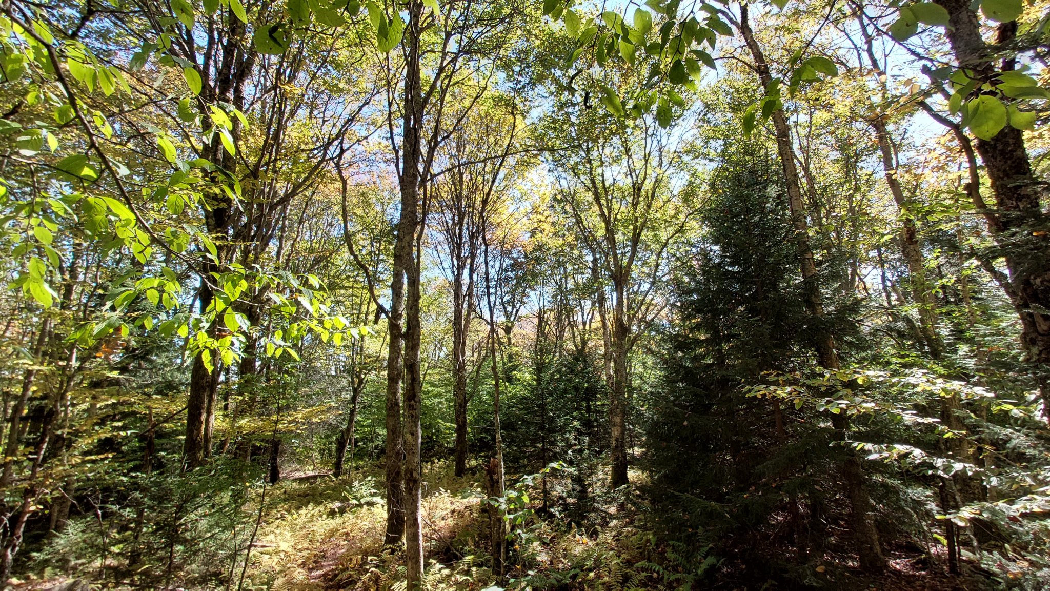 20231001_114243.jpg