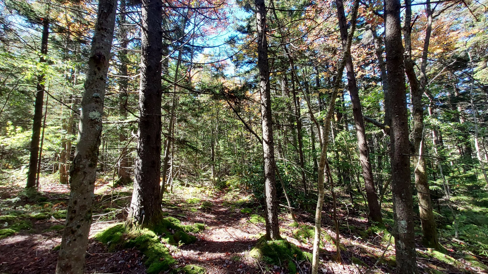 20231001_120152.jpg