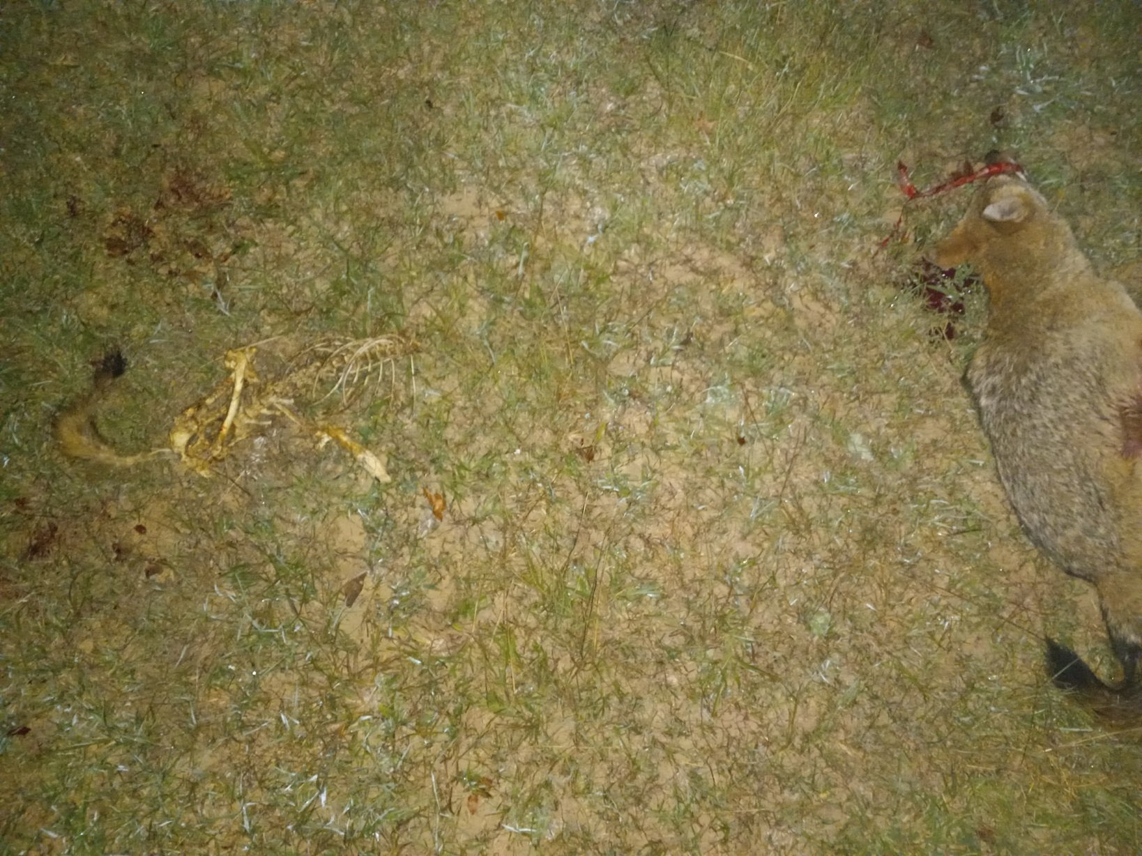 20231001_212809.jpg