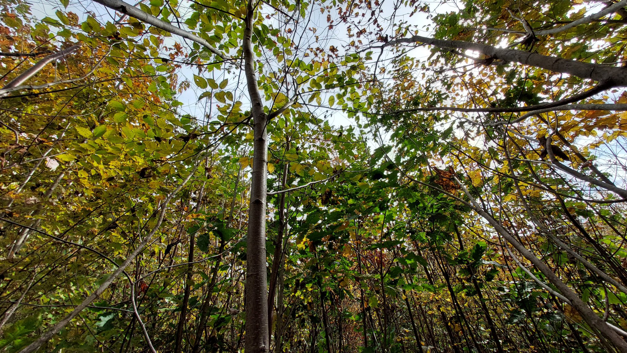 20231019_144012.jpg