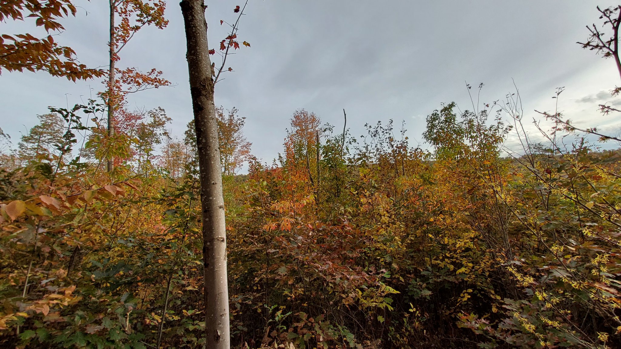 20231019_172808.jpg