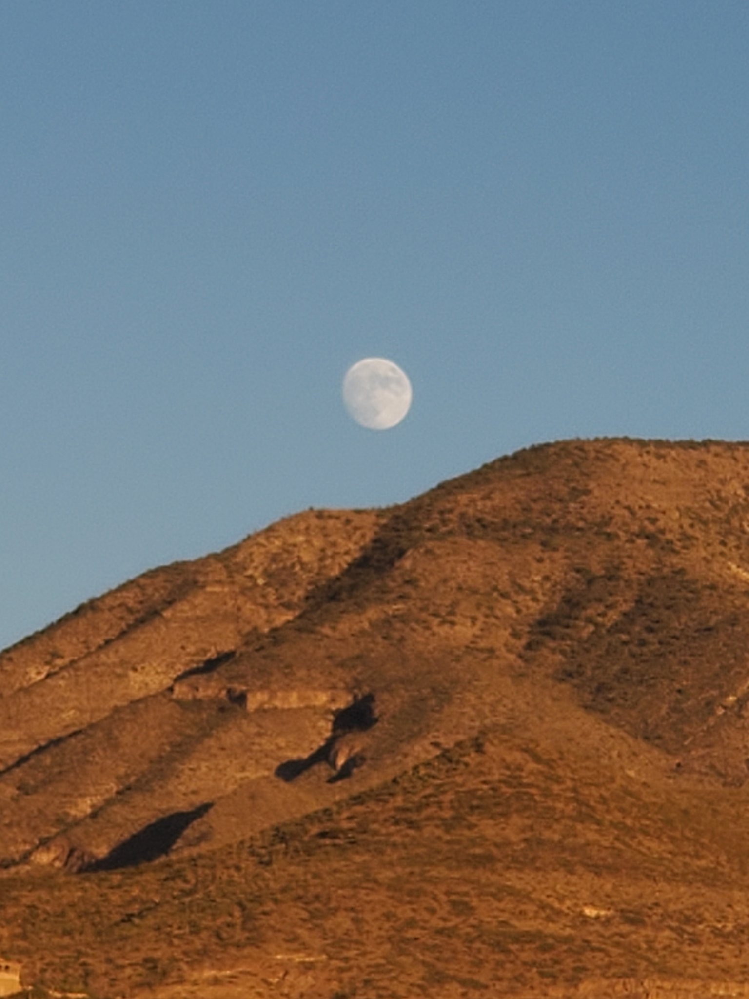 20231026_180307.jpg