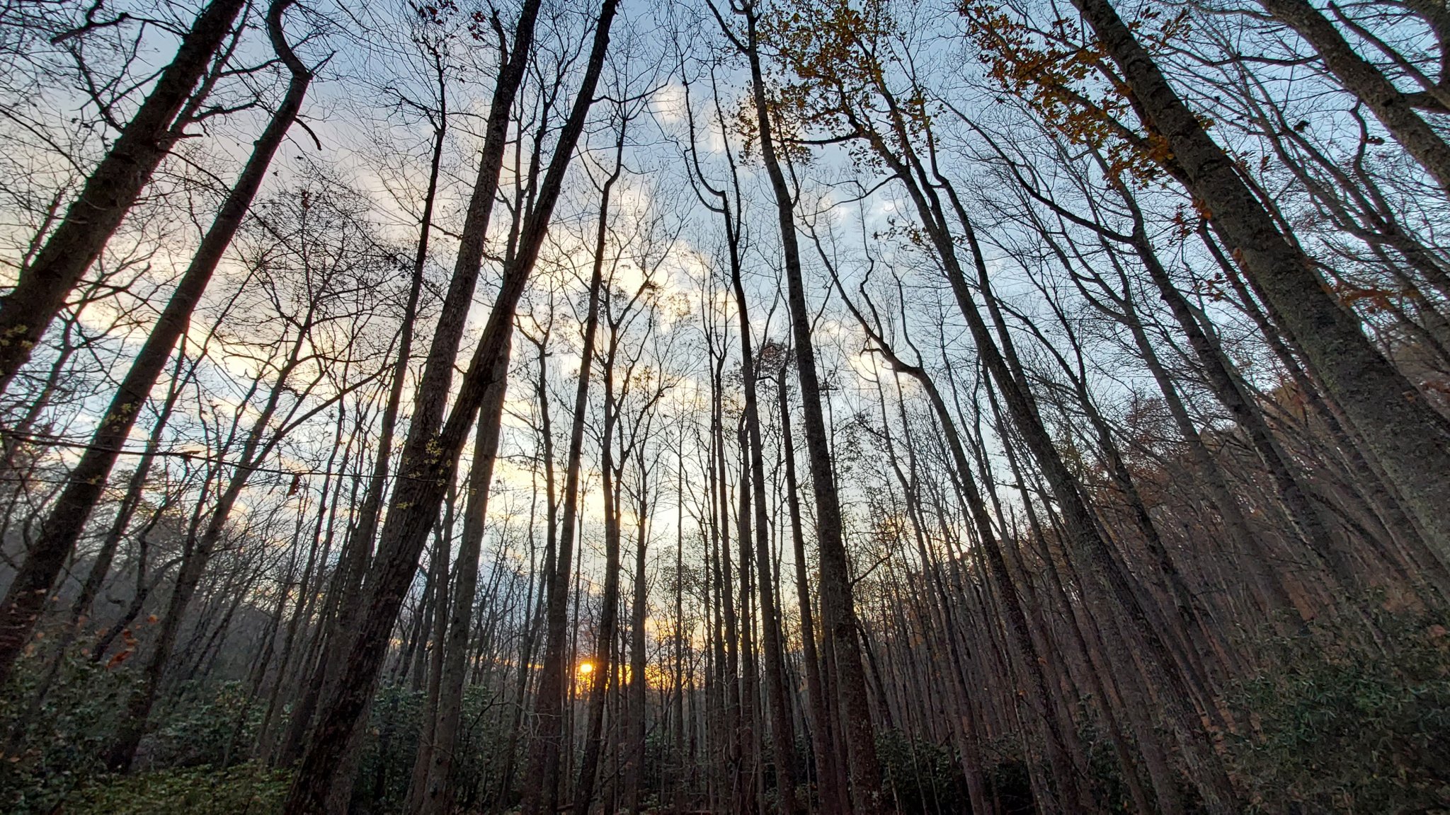 20231107_164529.jpg