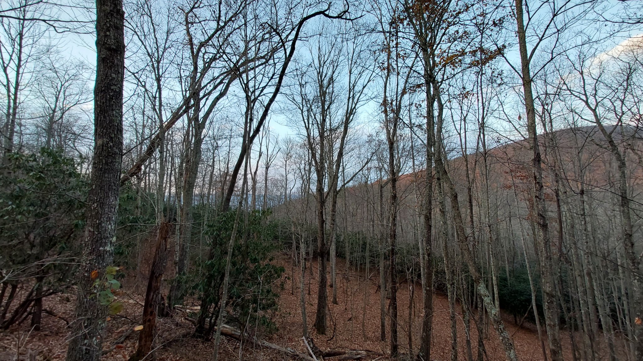 20231107_165533.jpg