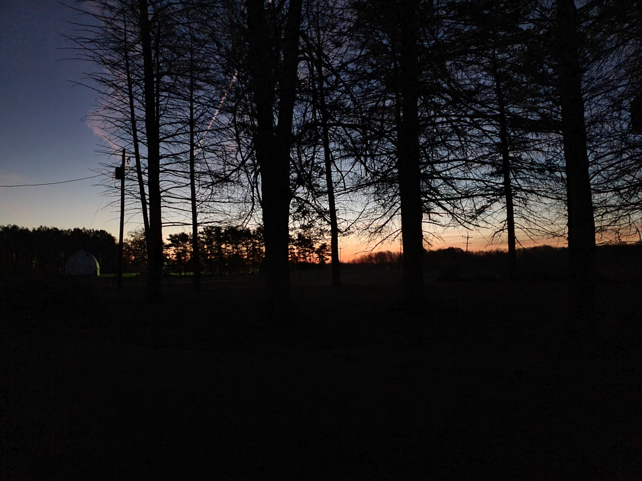 20231116_064650.jpg