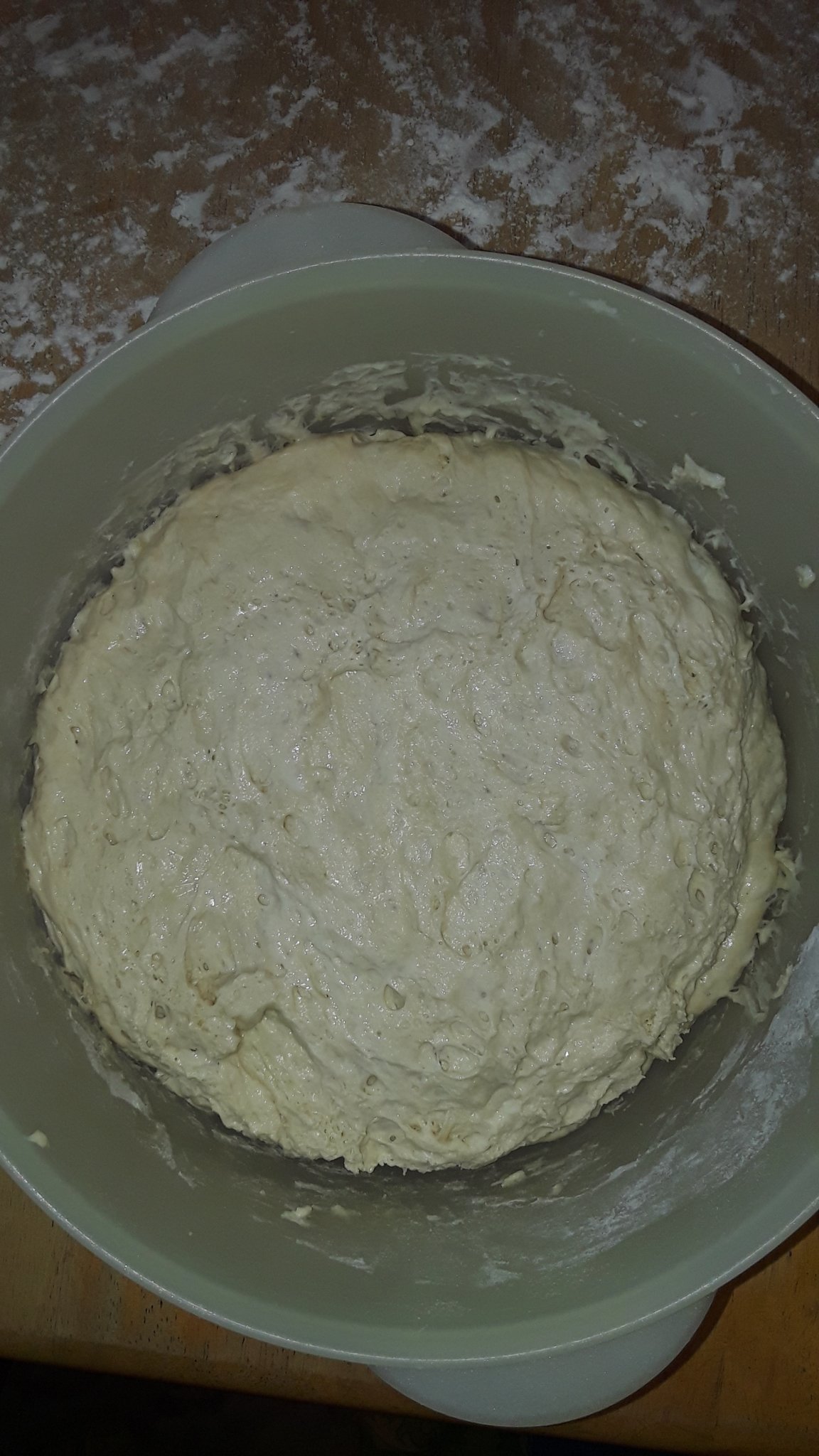20231120_115915.jpg