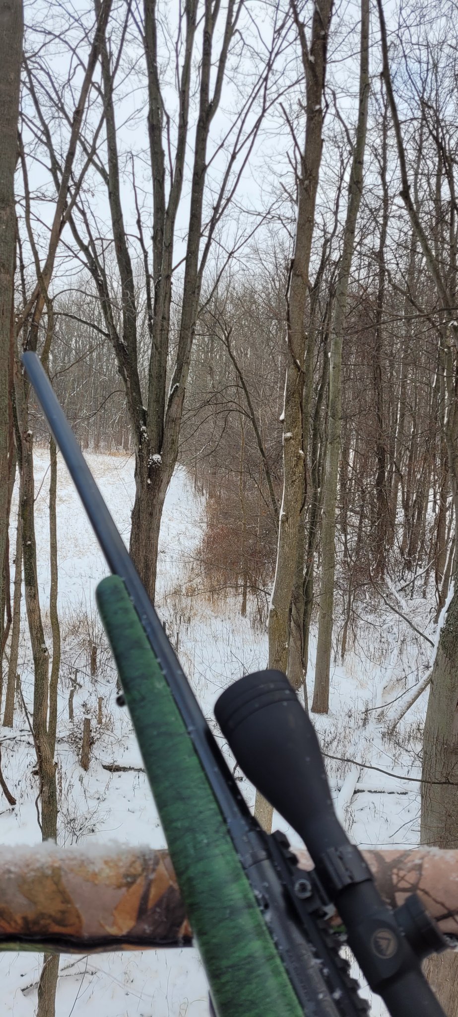 20231129_090051.jpg