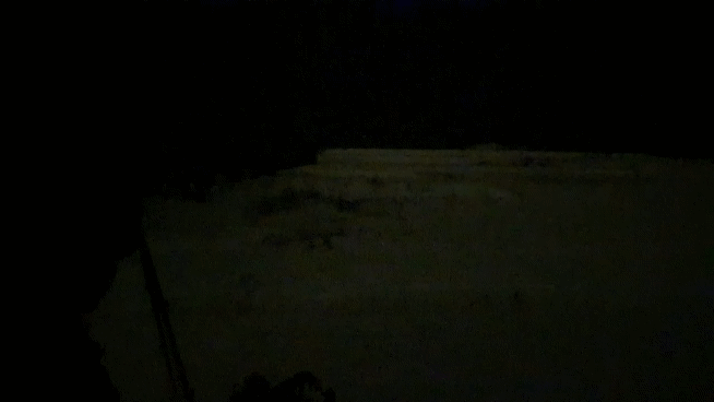 20231211_193301_1.gif