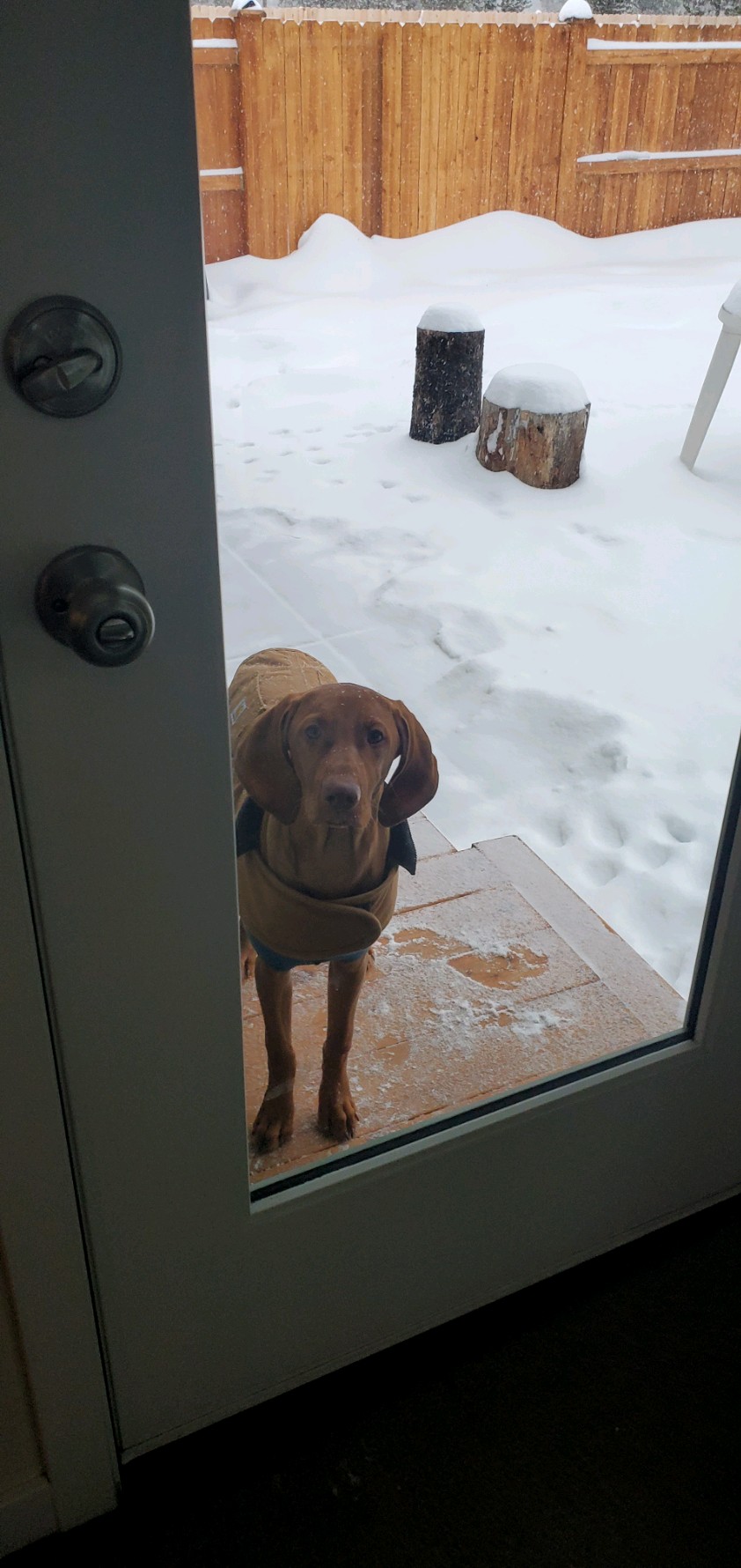 20240113_090101.jpeg