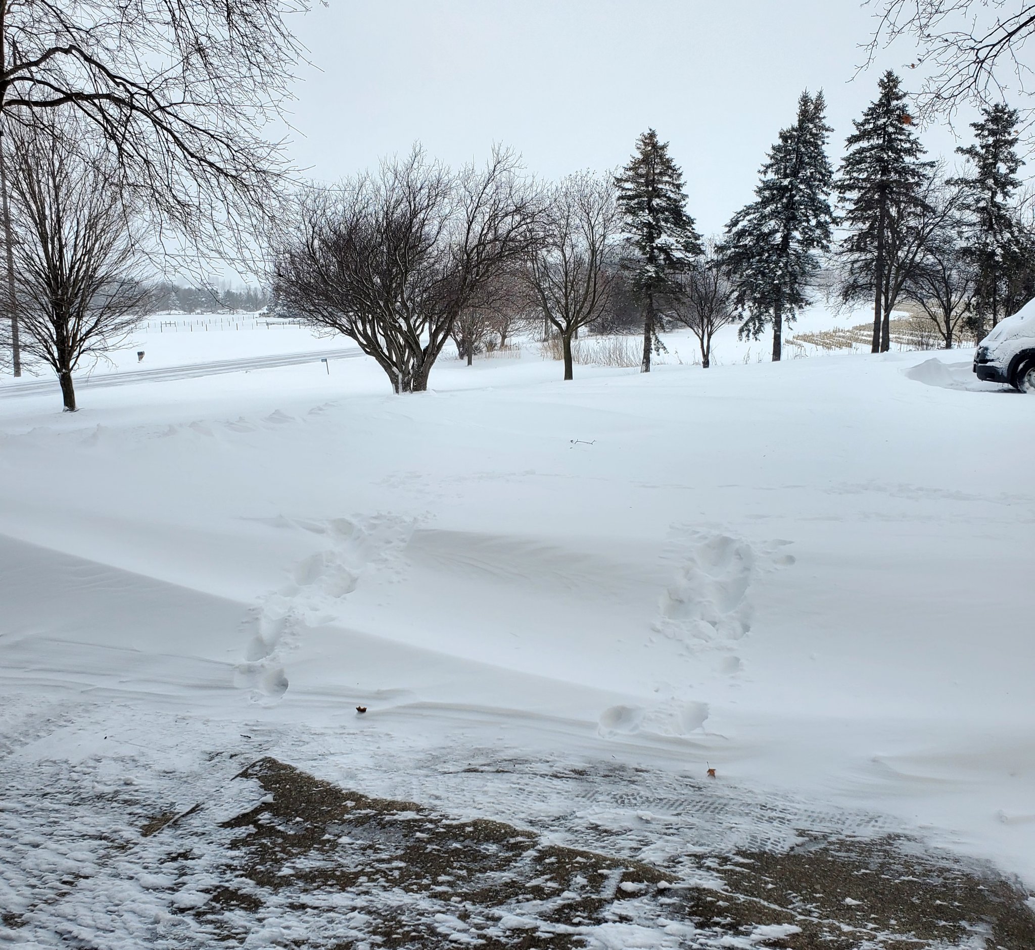20240113_092940.jpg
