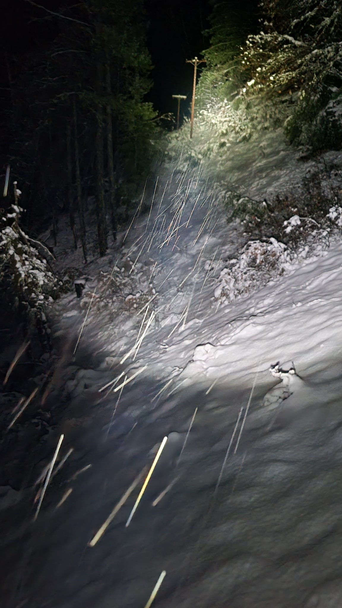 20240113_231408.jpg