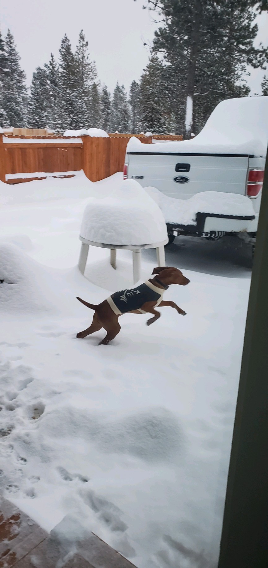 20240114_074442.jpeg