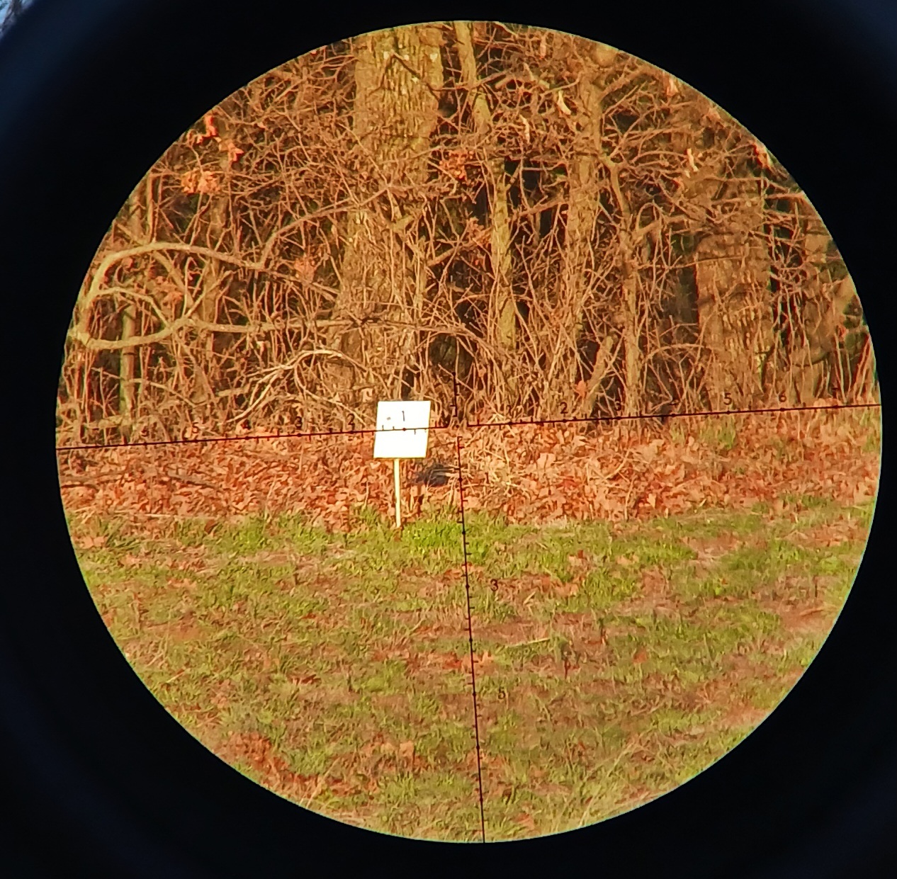 NEW TANGENT THETA RETICLE - With pics and Specs - PRE-ORDER OPEN ...