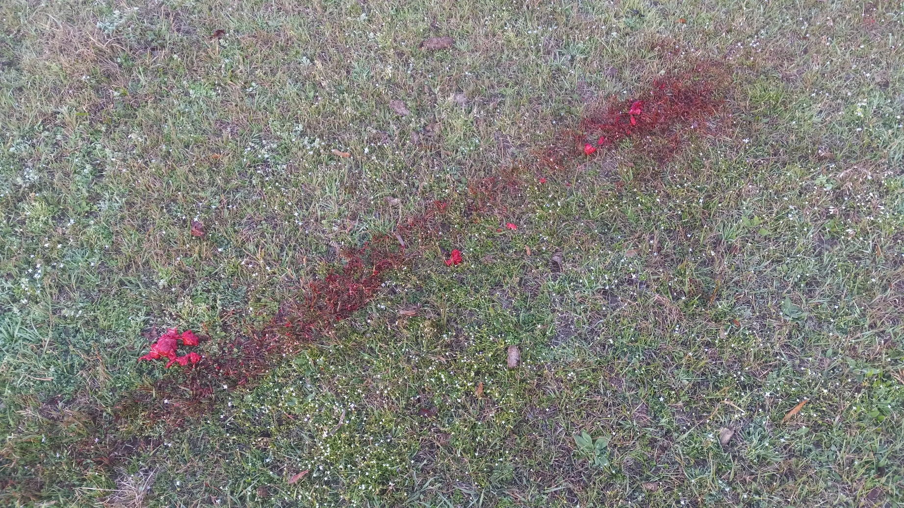 20240312_075712.jpg