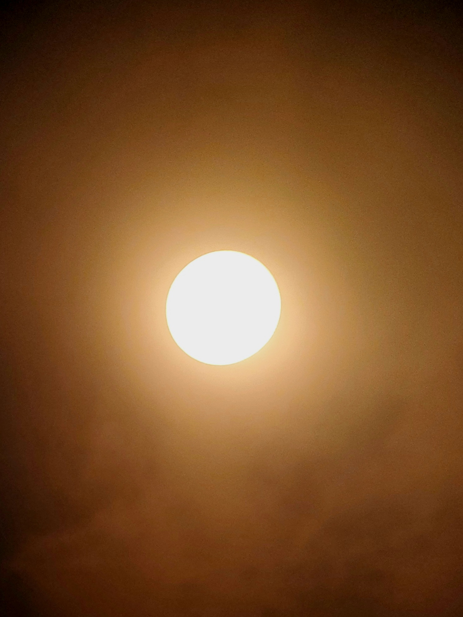 20240405_145120.jpg