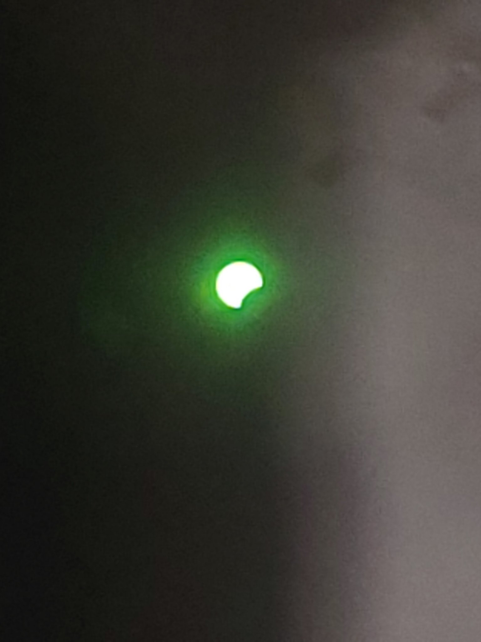 20240408_115146.jpg