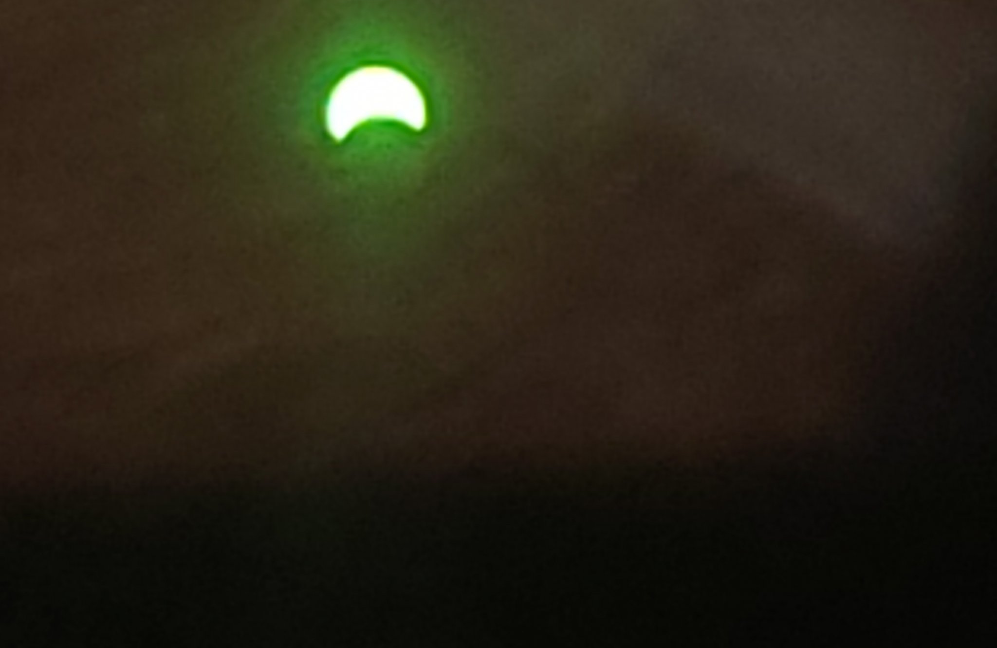 20240408_122602.jpg