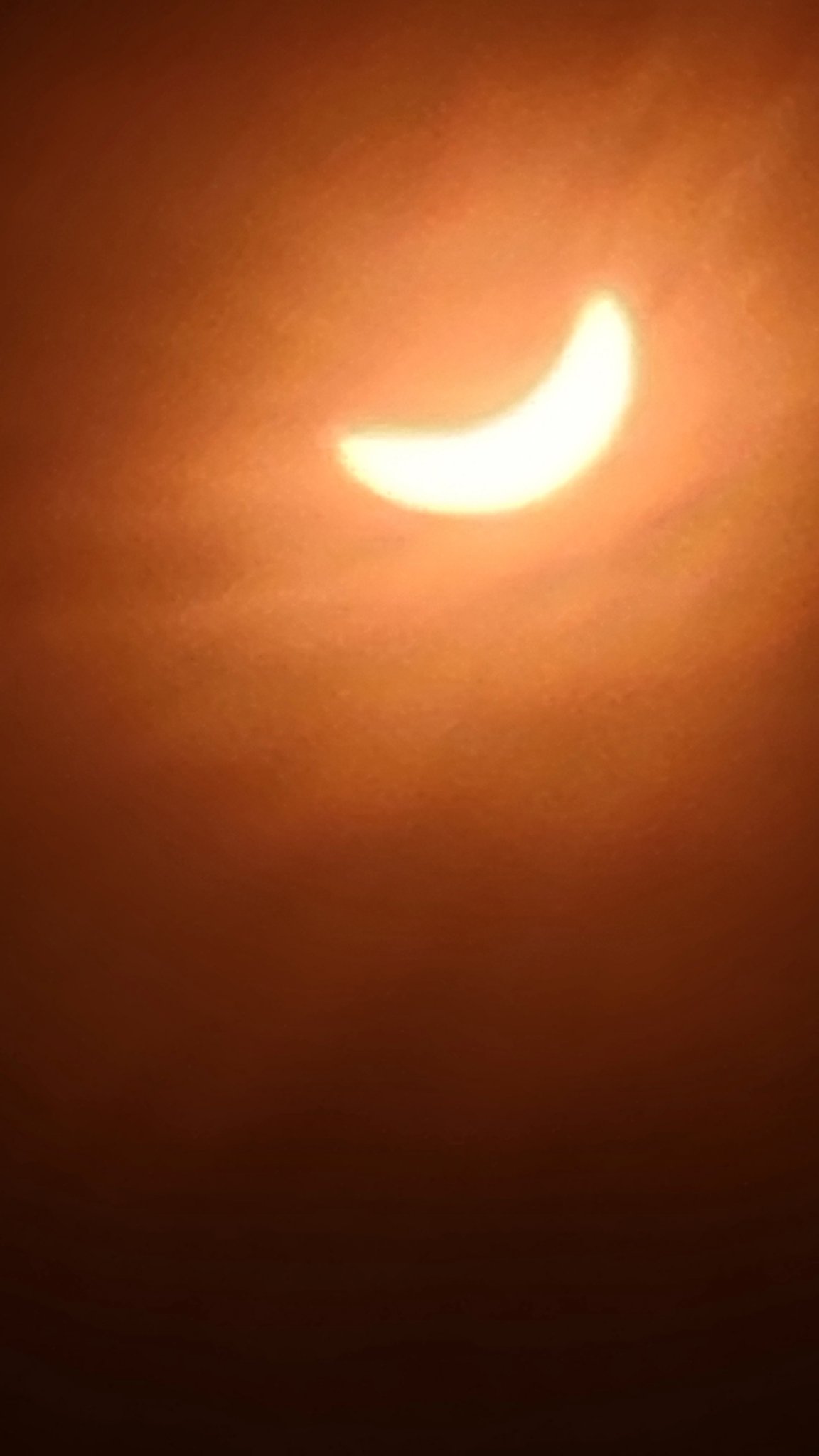 20240408_140612.jpg