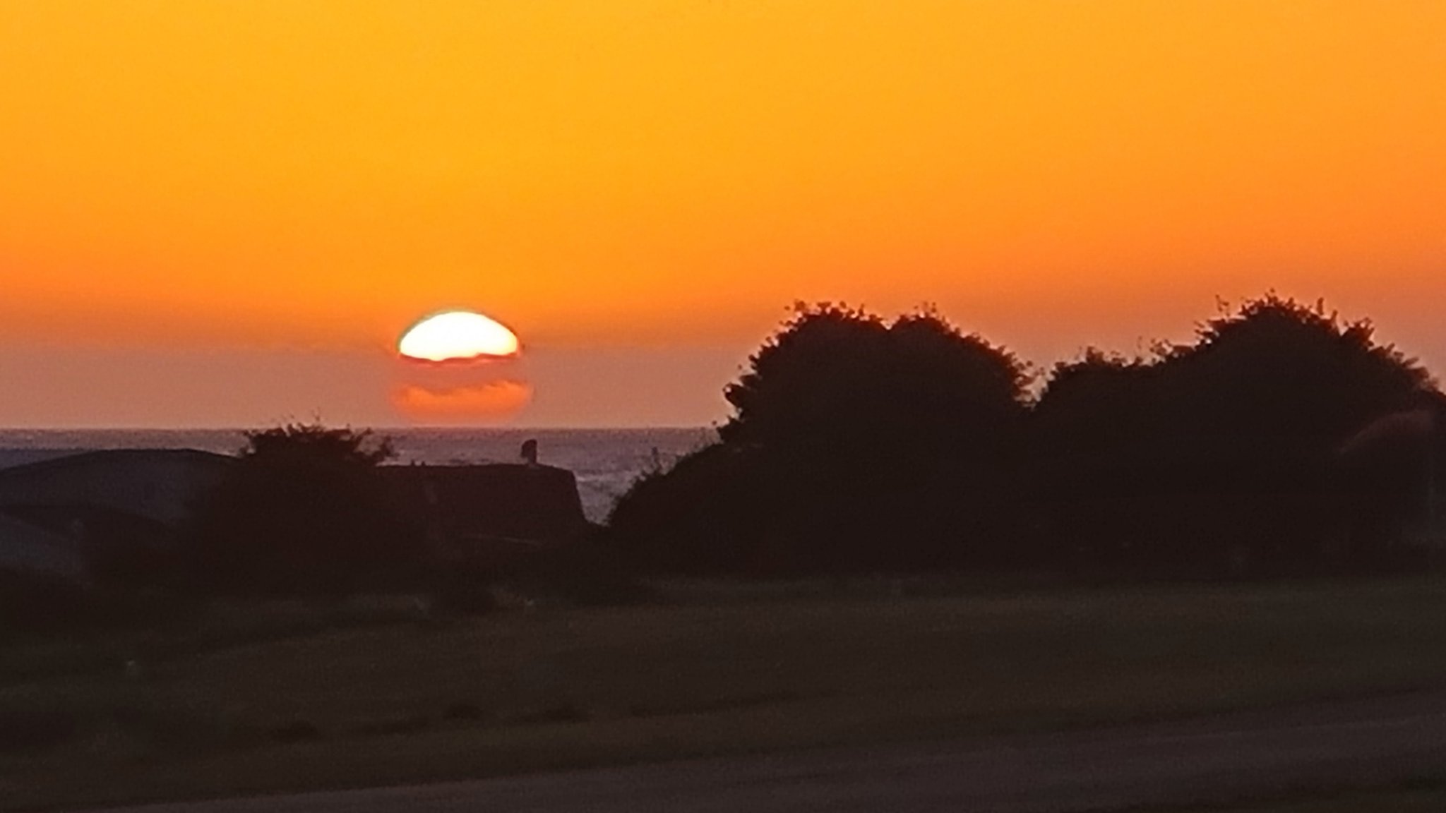 20240518_202635.jpg