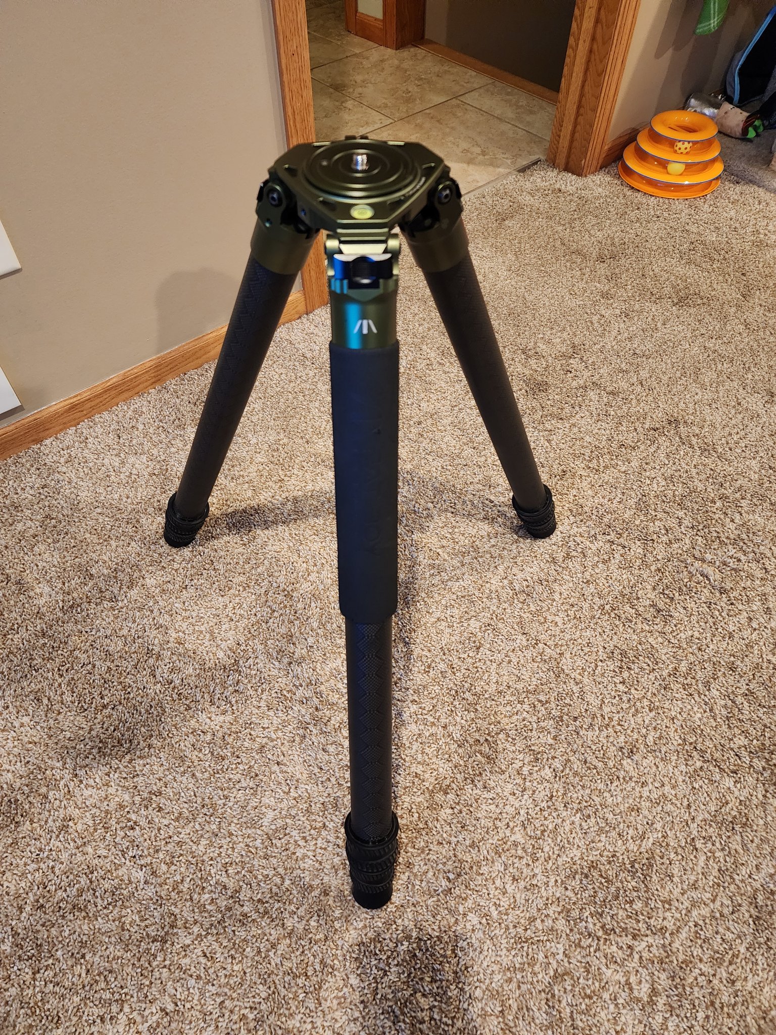 20240620_204435.jpg