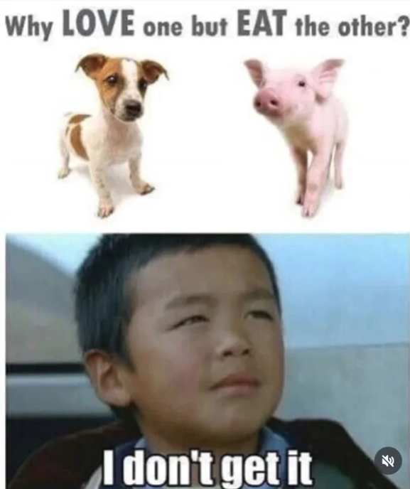 2025.png
