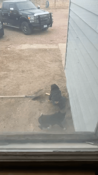 20250324_231111.gif