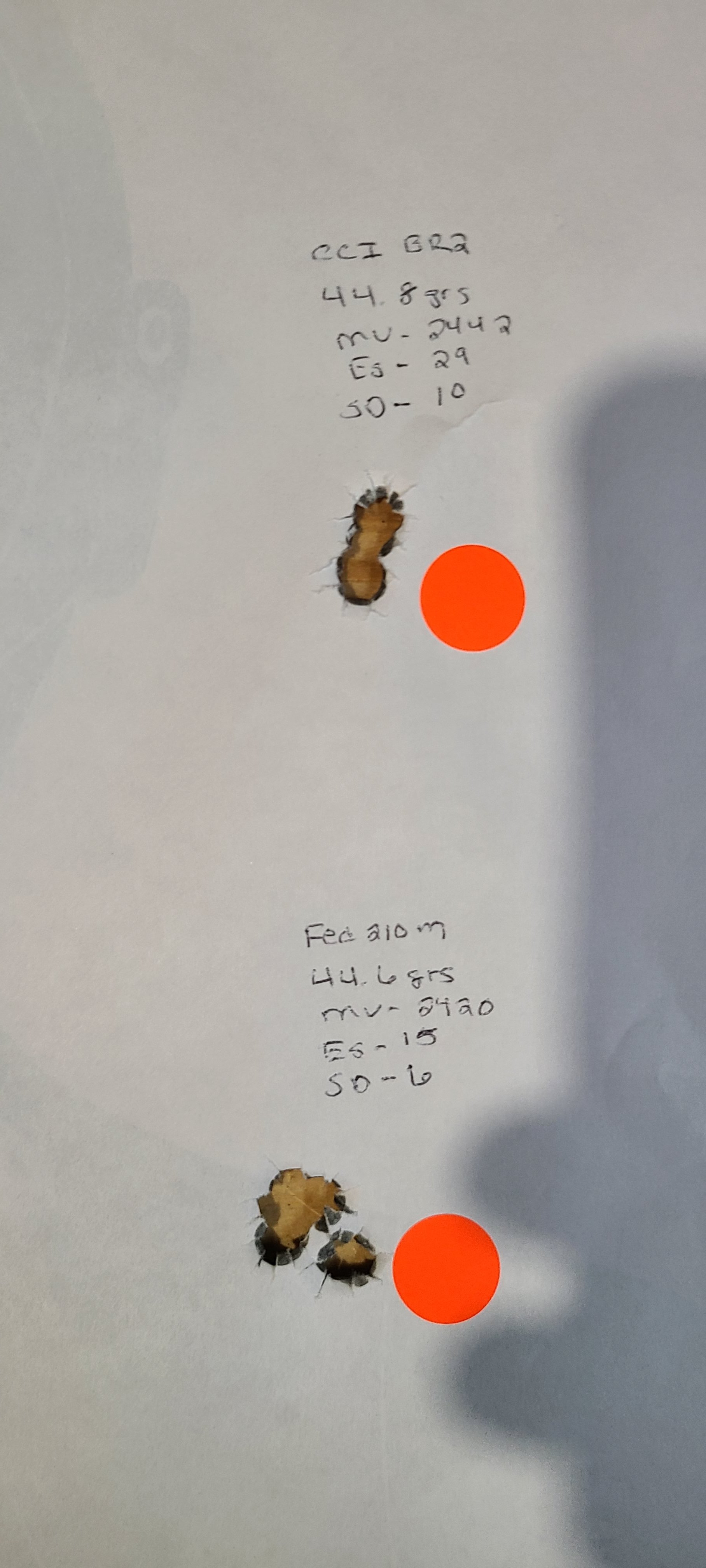20250406_122635.jpg