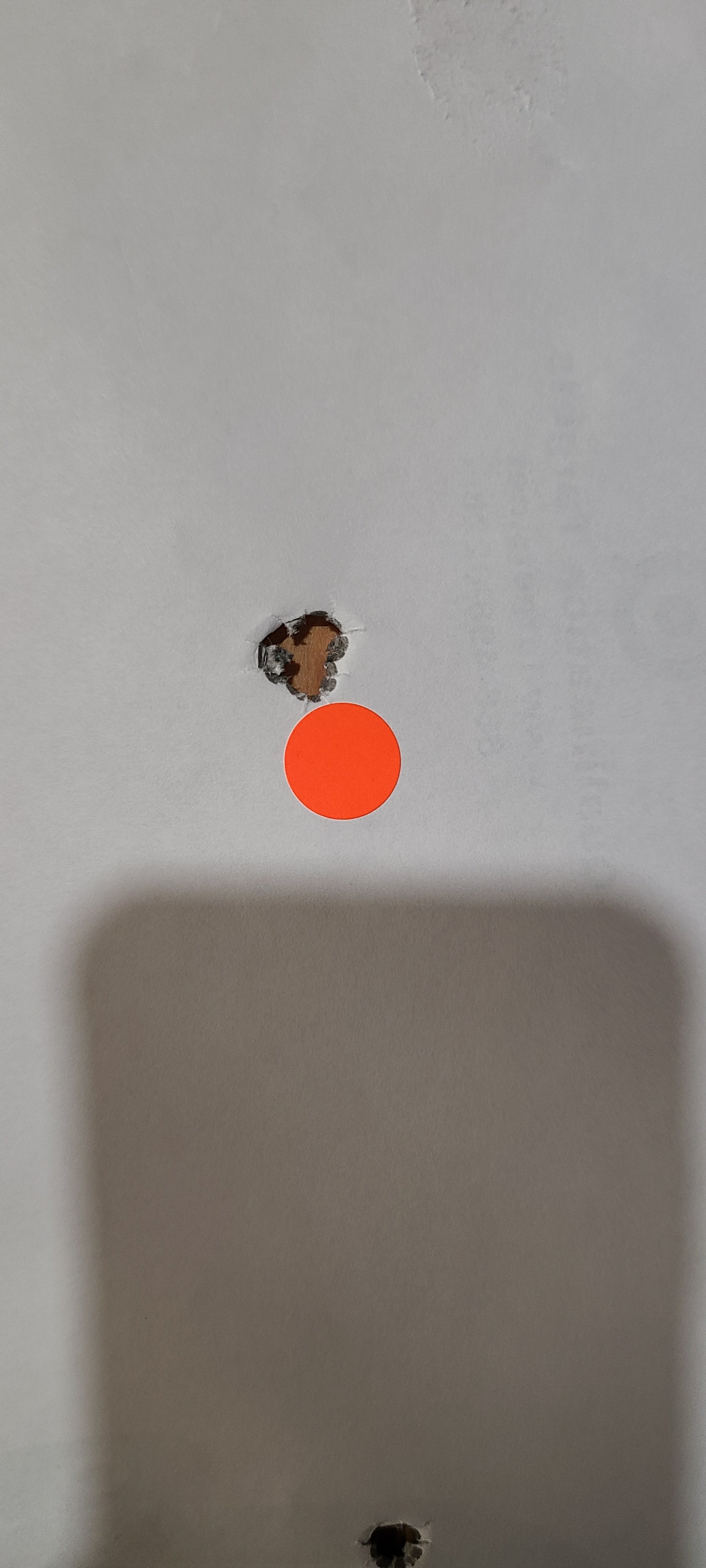 20250504_123232.jpg