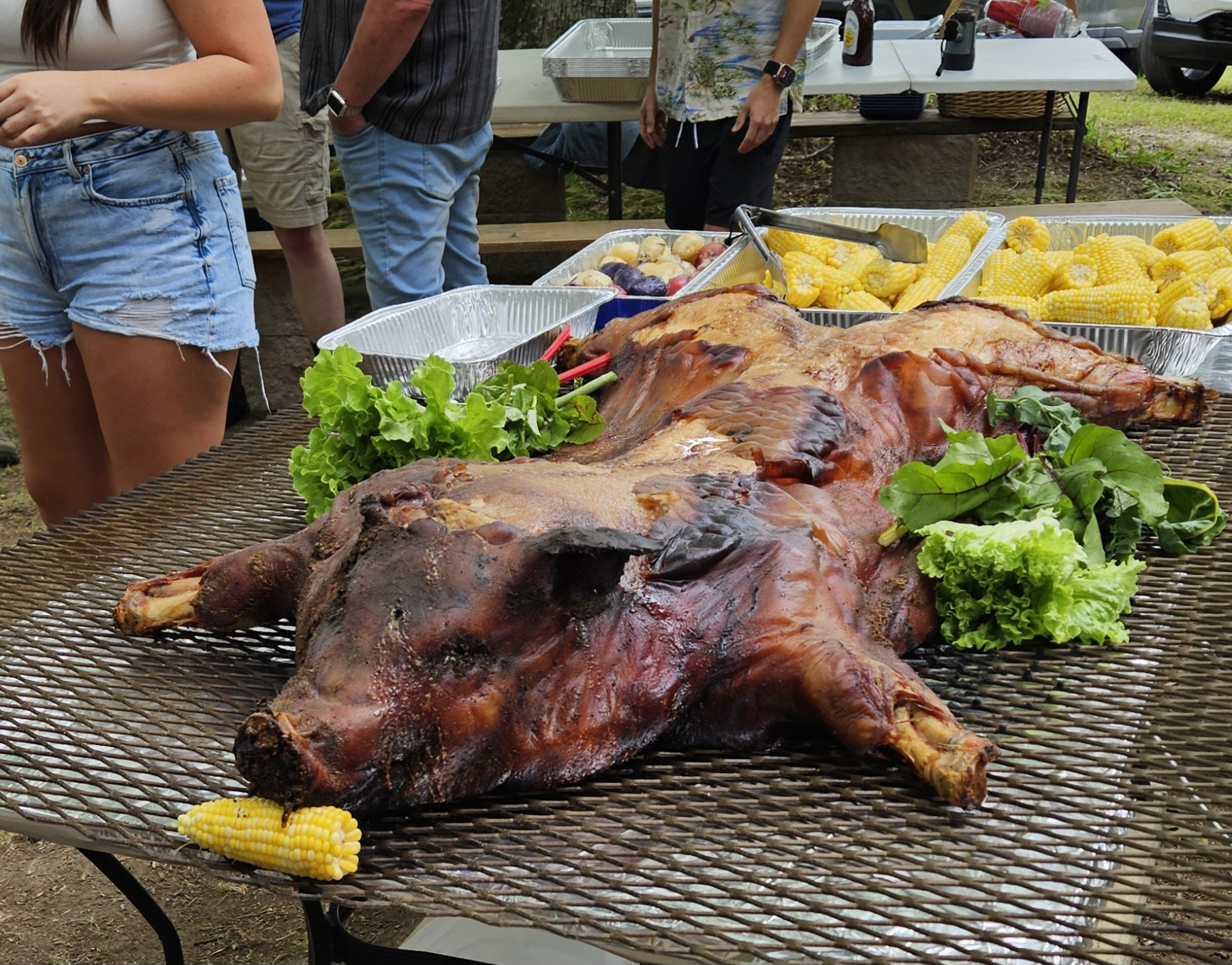 20250525_134817.jpg