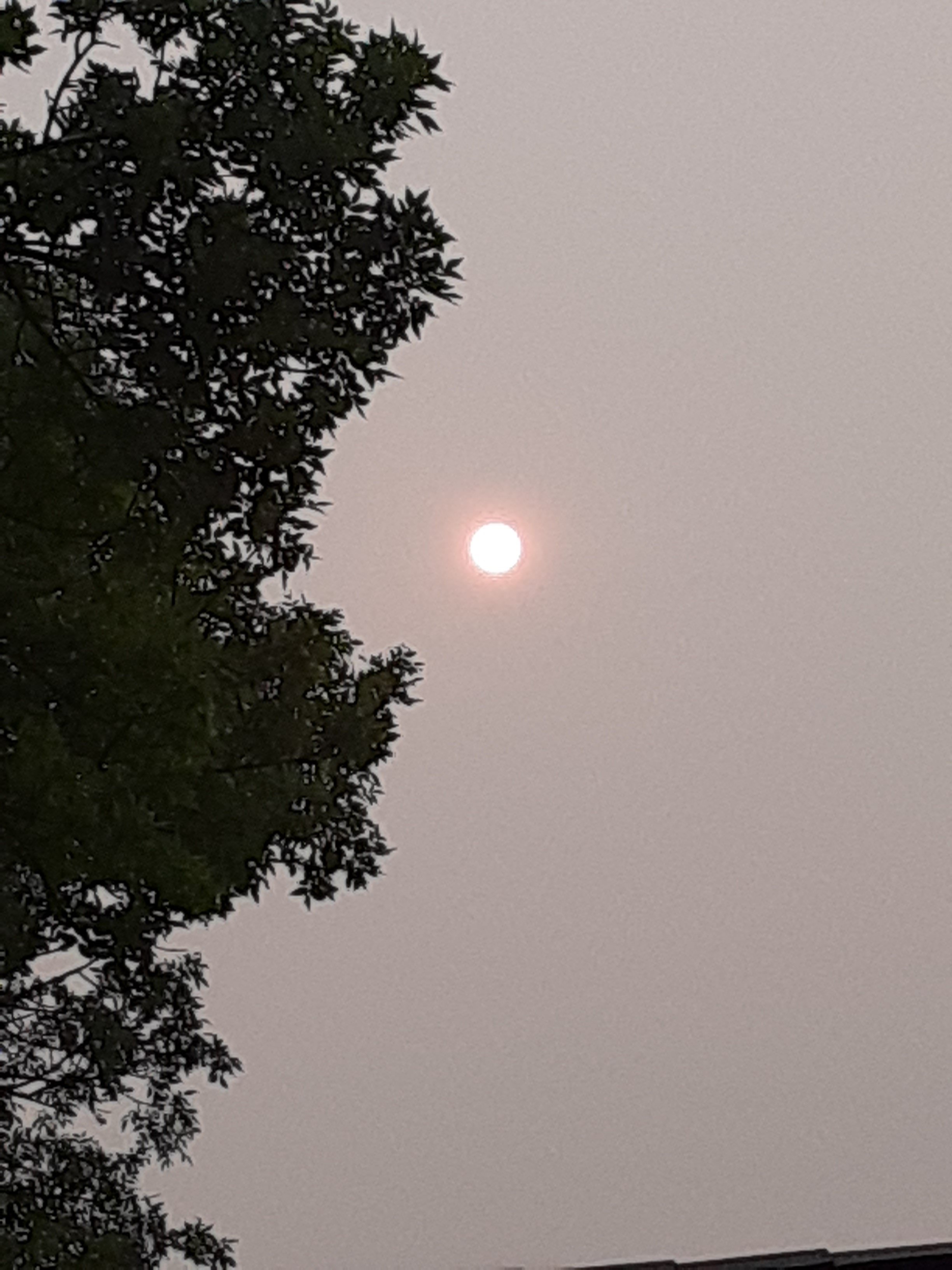 20250531_085836.jpg