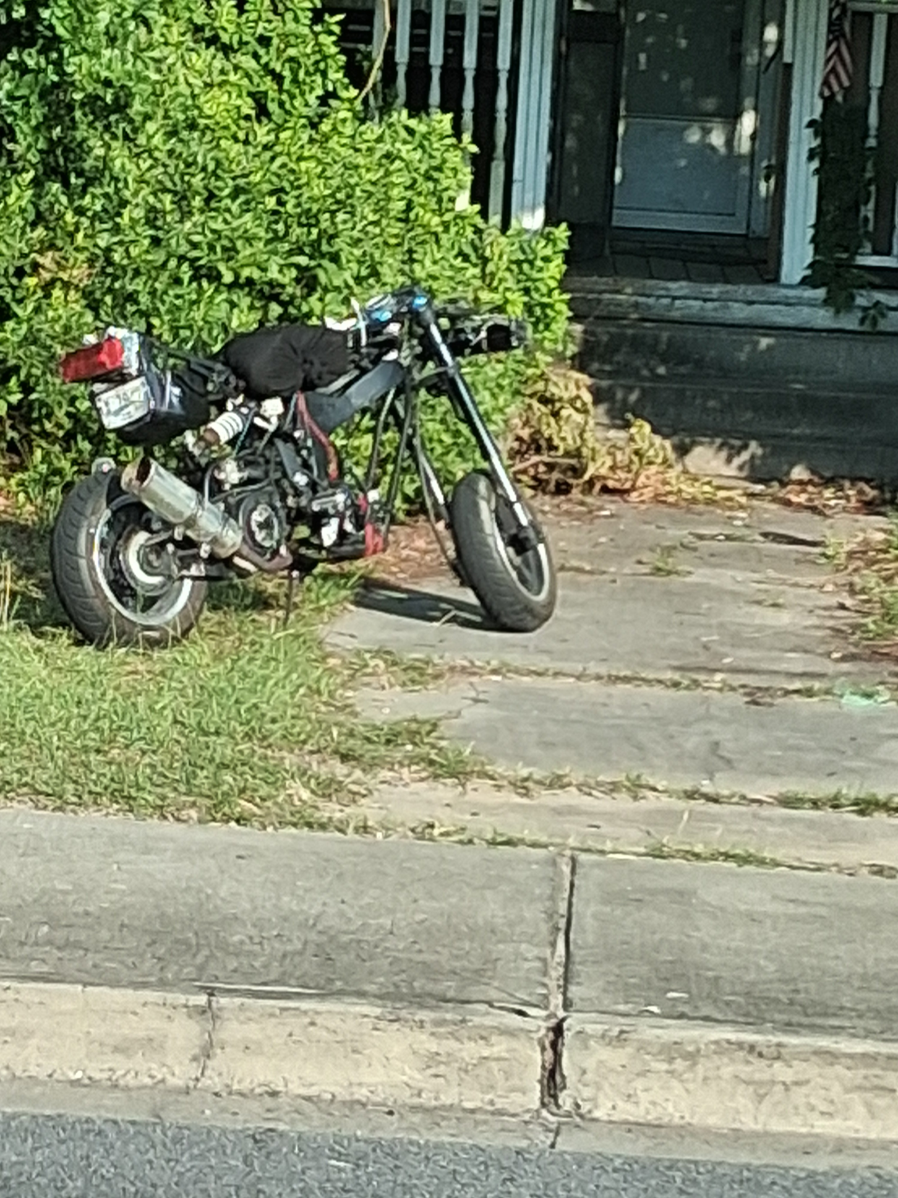 20250630_082306.jpg