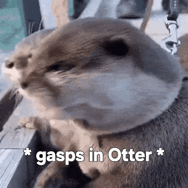 20250711_130422.gif