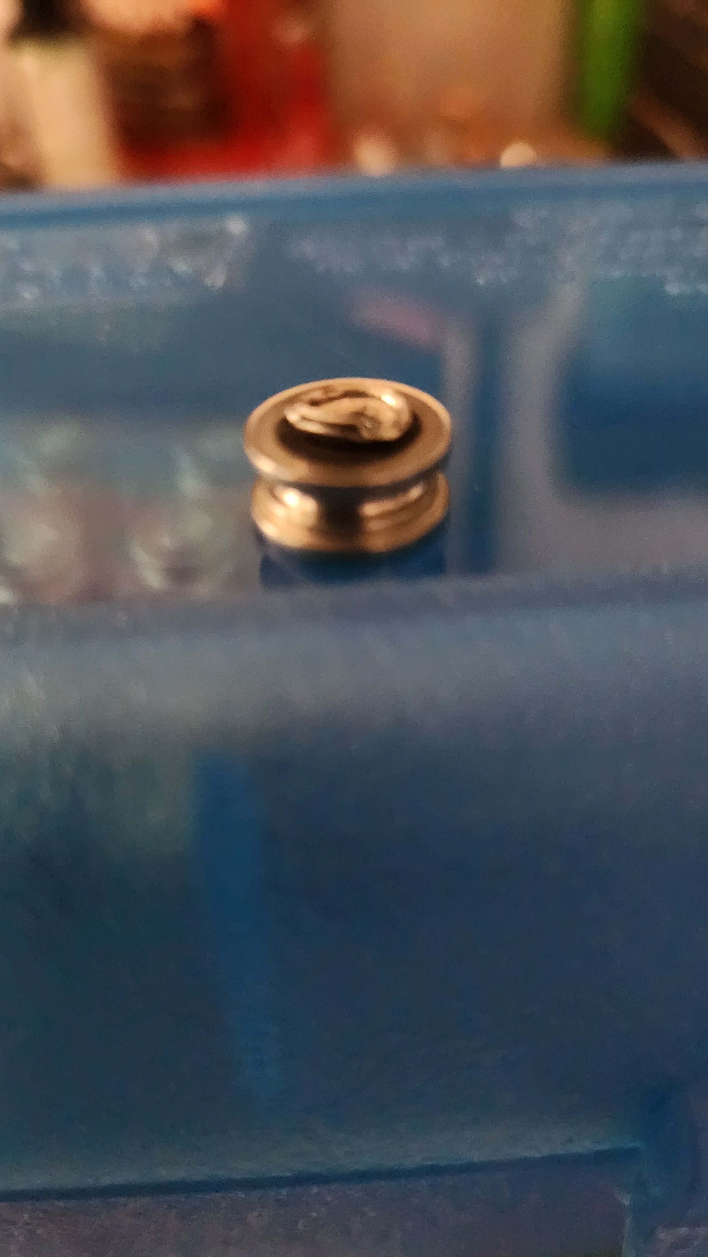 20250824_101709.jpg